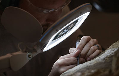 В Канаде нашли самый древний пример заботы о потомстве
          