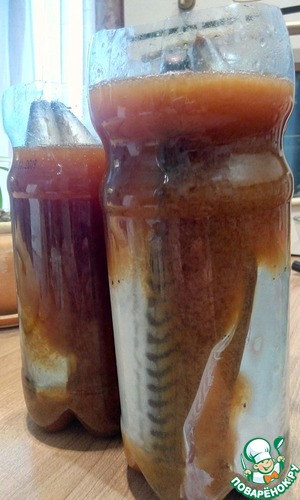 Нежнейшая скумбрия в бутылке