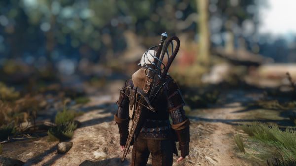Вышла новая версия мода для The Witcher 3: Wild Hunt, добавляющего множество нового оружия