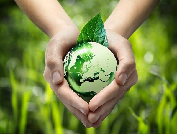 Эко материалы и модные тенденции