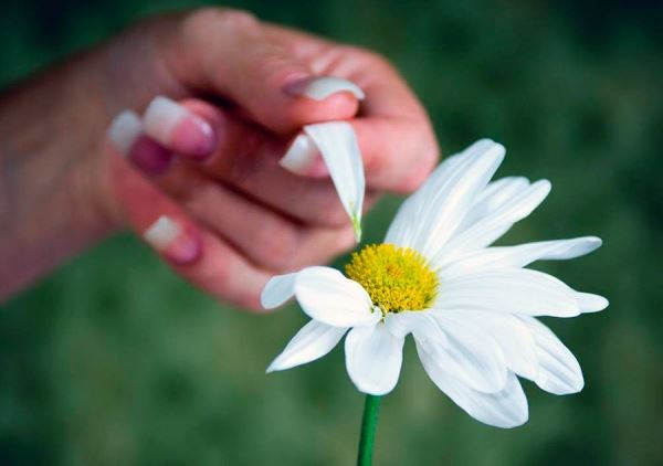 Как стать королевой школы и жизни
