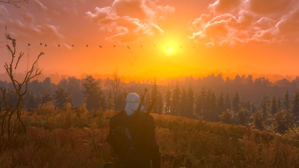 Разработчик подтвердил, что в скором времени появится новое обновление The Witcher 3 Nintendo