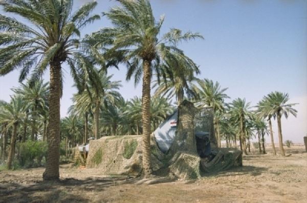 Элитный спецназ «Зелёного континента»