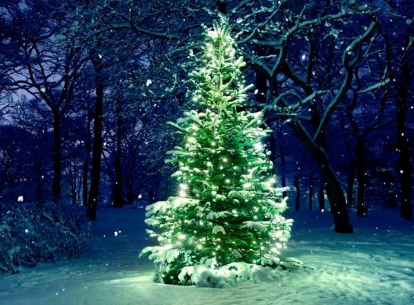 Эко материалы и модные тенденции